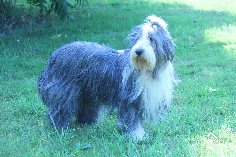 Brenda du paradis des coeurs tendres